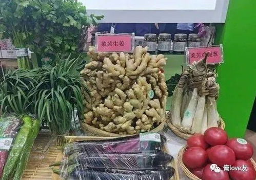 莱芜特色农产品再创辉煌 全国绿博会金奖彰显品质力量