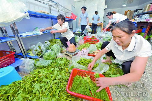 农产品配送中心 拓宽农家致富路的新引擎